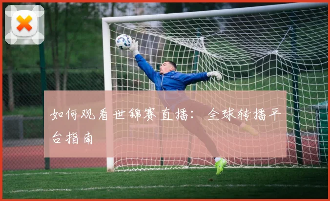如何观看世锦赛直播：全球转播平台指南