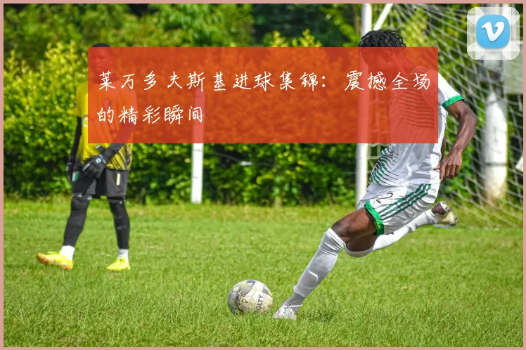 莱万多夫斯基进球集锦:震撼全场的精彩瞬间